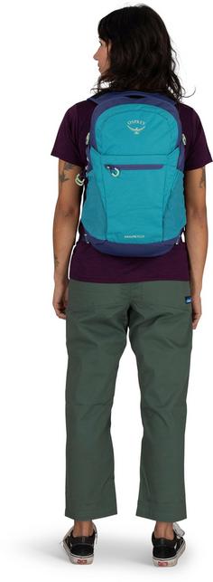 Rückansicht von Osprey Rucksack Daylite Plus Daypack blue spikemoss-alkaline