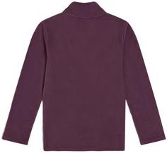 Rückansicht von O'NEILL JACK'S POLARTEC 100 Fleeceshirt Kinder aubergine