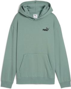 PUMA ESSENTIALS Small Logo Relax Hoodie Kinder green moon