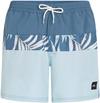 O'NEILL CALI BLOCK Badehose Herren - blue dipped leaves
