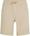 O'NEILL ORIGINALS WALK Shorts Herren - atmosphere
