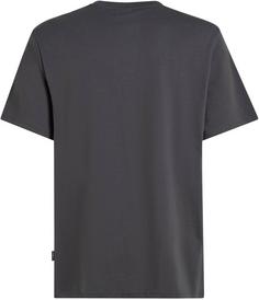 Rückansicht von O'NEILL ORIGINAL CALI LOGO T-Shirt Herren asphalt