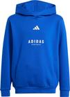 adidas ALLSZN GFX Hoodie Jungen - team royal blue