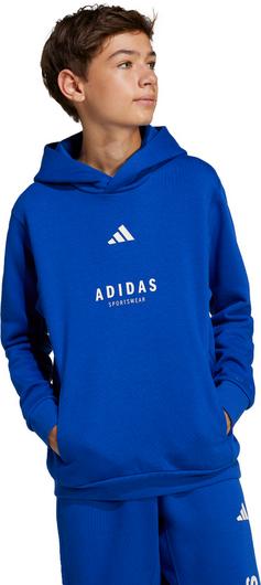 Rückansicht von adidas ALLSZN GFX Hoodie Kinder team royal blue