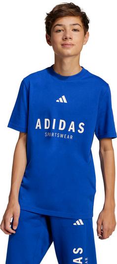 Rückansicht von adidas ALLSZN GFX T-Shirt Kinder team royal blue