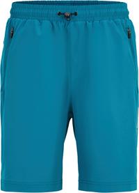 JOY sportswear Marek Funktionsshorts Herren - dragonfly blue