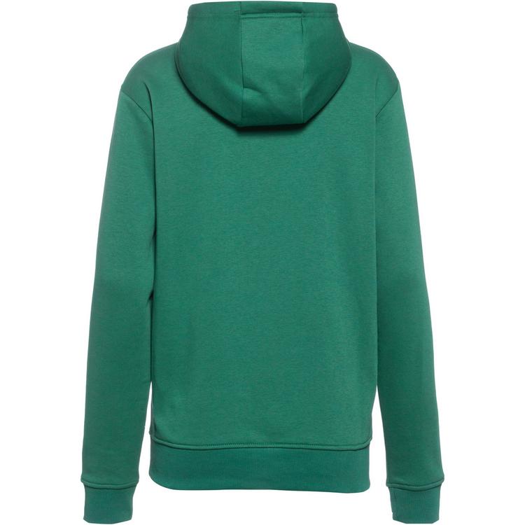 Ellesse Ellesse Jazana Hoodie Damen - green - 0 | SportScheck