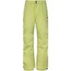 Quiksilver ESTATE Skihose Herren - celery green