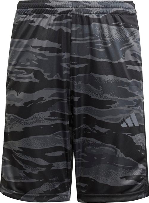 adidas TRAIN ESSENTIALS CAMO Funktionsshorts Jungen