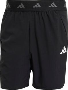 adidas GYM+ Funktionsshorts Herren black