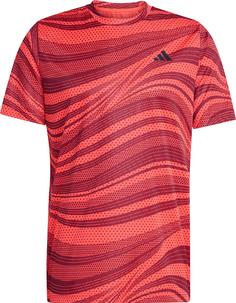 adidas Club Tennisshirt Herren shadow red-semi lucid red