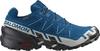 Salomon SPEEDCROSS 6 GTX Laufschuhe Herren - poseidon-black-lunar rock