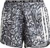 adidas OTR E AOP Funktionsshorts Damen - dash gray-black