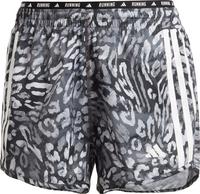 adidas OTR E AOP Funktionsshorts Damen - dash gray-black