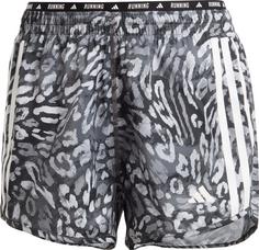 adidas OTR E AOP Funktionsshorts Damen dash gray-black