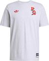 adidas FC Bayern M&uuml;nchen T-Shirt Herren - light grey heather
