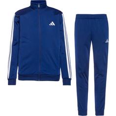 adidas M 3S TR TT Trainingsanzug Herren dark blue