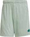 adidas TR-ES LOGO Funktionsshorts Herren - silver green-collegiate green