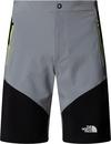 The North Face FELIK Funktionsshorts Herren - monument grey-tnf black