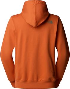 Rückansicht von The North Face OUTDOOR Hoodie Herren iron bronze