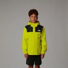 Rückansicht von The North Face ANTORA Regenjacke Kinder sulphur spring green