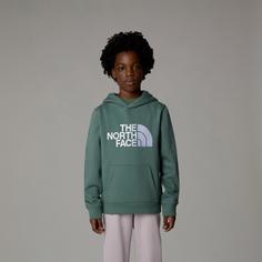 Rückansicht von The North Face DREW Hoodie Kinder duck green