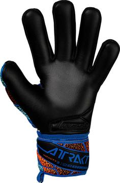 Rückansicht von Reusch Attrakt Infinity NC Junior Torwarthandschuhe Kinder electric blue-shocking orange-black