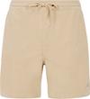 Protest Uleyo Shorts Herren - bamboobeige