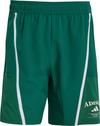 adidas D4T HERITAGE Funktionsshorts Herren - collegiate green-chalk white