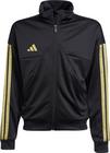 adidas HOT COF Trainingsjacke Kinder - black-gold mt