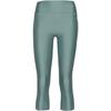 Under Armour HEATGEAR Tights Damen - silica green