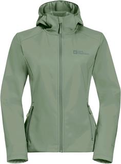 Jack Wolfskin BORNBERG Softshelljacke Damen eucalyptus