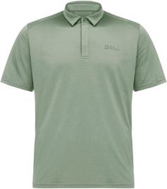 Jack Wolfskin DELGAMI Poloshirt Herren eucalyptus