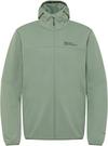 Jack Wolfskin FELDBERG Softshelljacke Herren - eucalyptus