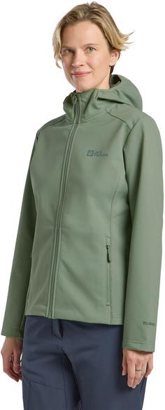 Rückansicht von Jack Wolfskin BORNBERG Softshelljacke Damen eucalyptus