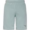 PUMA Essentiell No. 1 Shorts Herren - modern mint