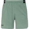 Under Armour Vanish Funktionsshorts Herren - silica green