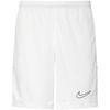 Nike Nike Academy Fu&szlig;ballshorts Herren - white-white-black