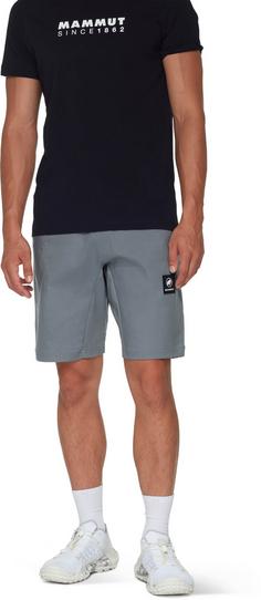 Rückansicht von Mammut Massone Funktionsshorts Herren strata