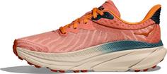 Rückansicht von HOKA Challenger 7 Trailrunning Schuhe Damen feldspar-birch