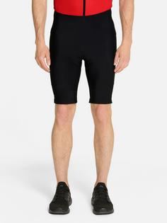 Rückansicht von Ziener NETAX Fahrradtights Herren black