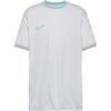 Nike Academy 25 Funktionsshirt Herren - photon dust-lt smoke grey-dynamic turq