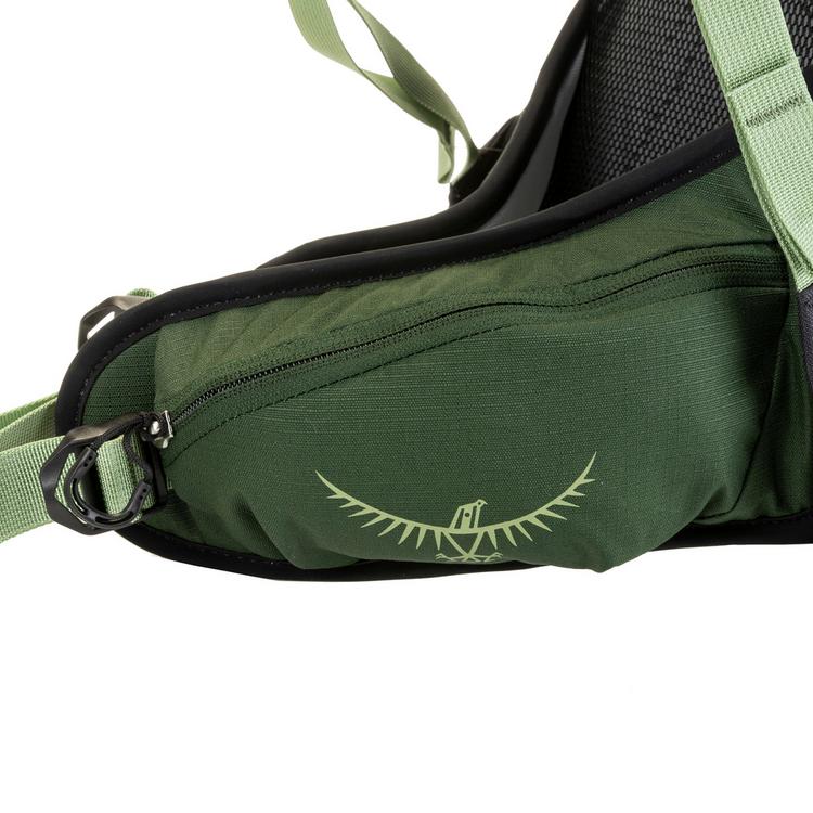 Osprey Osprey Hikelite Tour 32 Wanderrucksack - green canopy-botanica - 1 | SportScheck