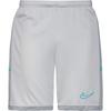 Nike Nike Academy Fu&szlig;ballshorts Herren - photon dust-lt smoke grey-dynamic turq