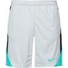 Nike Strike Fu&szlig;ballshorts Herren - photon dust-black-dynamic turq-p3252u