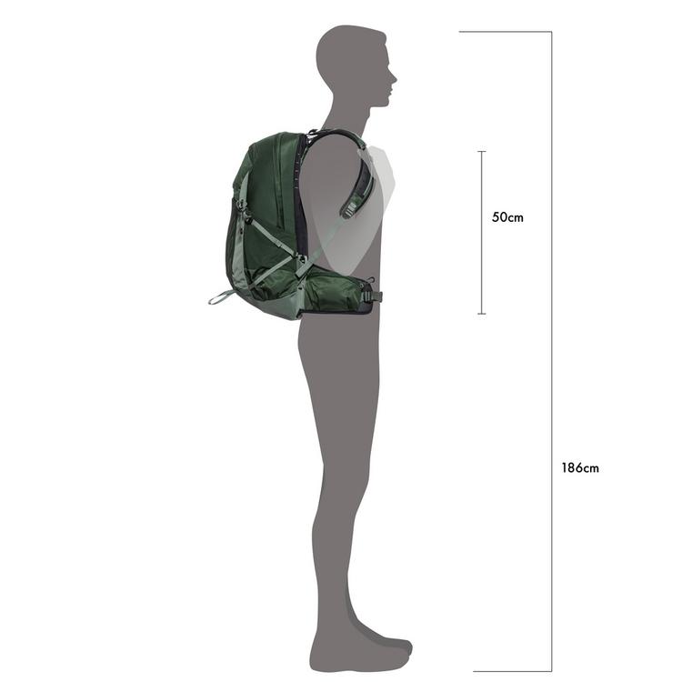 Osprey Osprey Talon 22 Wanderrucksack Herren - green canopy-pine leaf - 4 | SportScheck