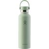 Hydro Flask 21 OZ STANDARD FLEX CAP Isolierflasche - aloe