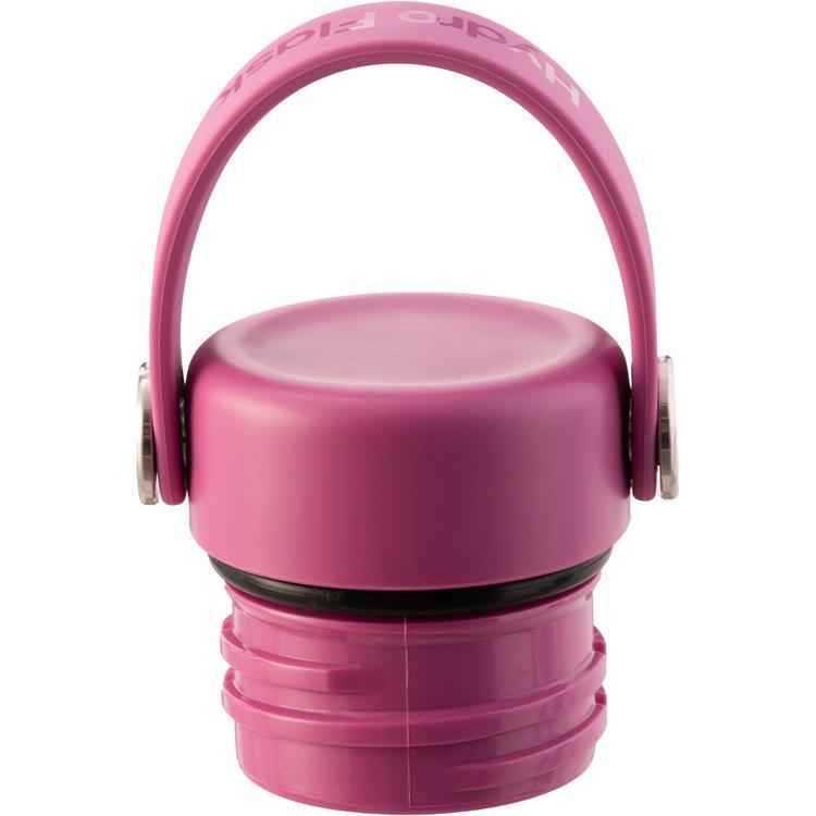 Hydro Flask Hydro Flask 21 OZ STANDARD FLEX CAP Isolierflasche - reef - 0 | SportScheck