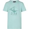 BEAR T-Shirt Jungen - lichen