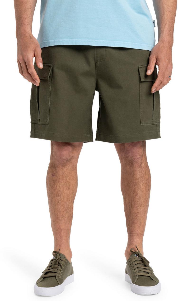 Quiksilver Quiksilver TAXER CARGO Shorts Herren - grape leaf - 0 | SportScheck